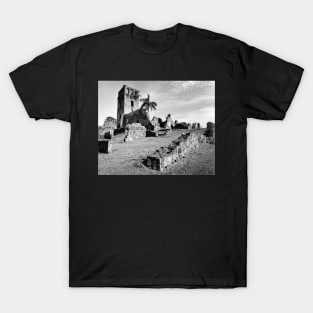 Ruins of Old Panama T-Shirt